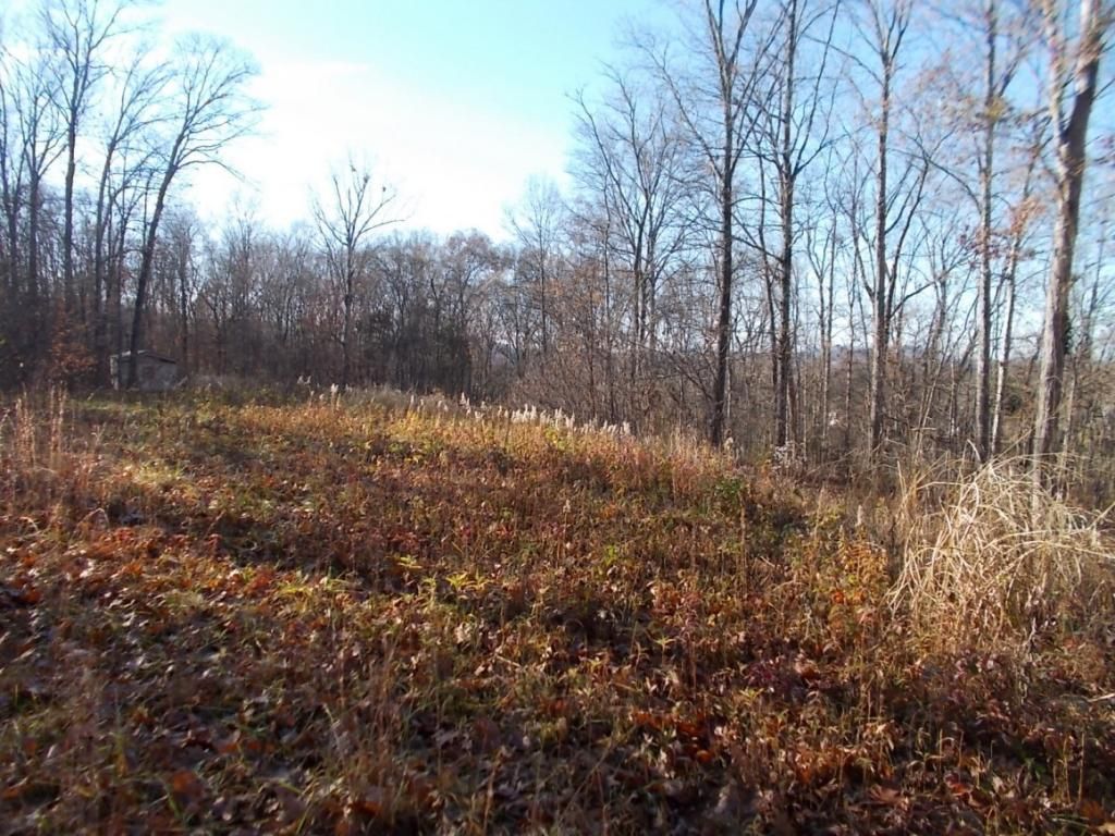 414 Doane Rd, New Market, TN 37820